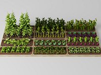 Modular Vegetable Garden Plots Agricultural Crops