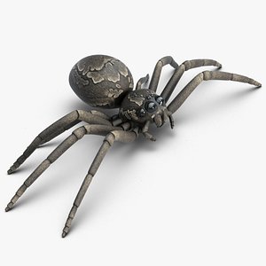 Spider 2