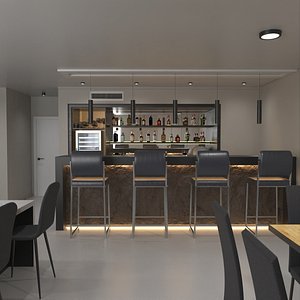 Private Home Bar