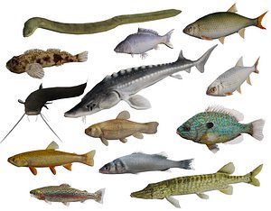 Freshwater fish package (13 fish)
