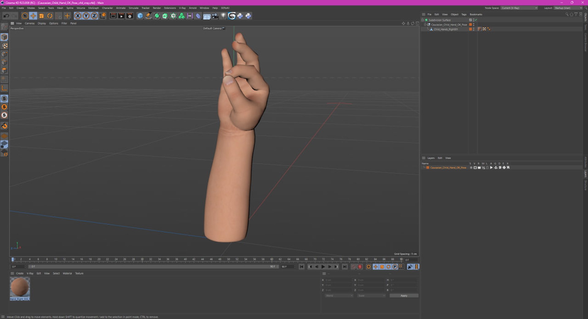 3D Caucasian Child Hand OK Pose https://p.turbosquid.com/ts-thumb/Bq/6nzgvF/ZN/caucasian_child_hand_ok_pose_1003/jpg/1744137644/1920x1080/fit_q87/836f371f701c8b5aa96495eb78b0cefb95621fa7/caucasian_child_hand_ok_pose_1003.jpg
