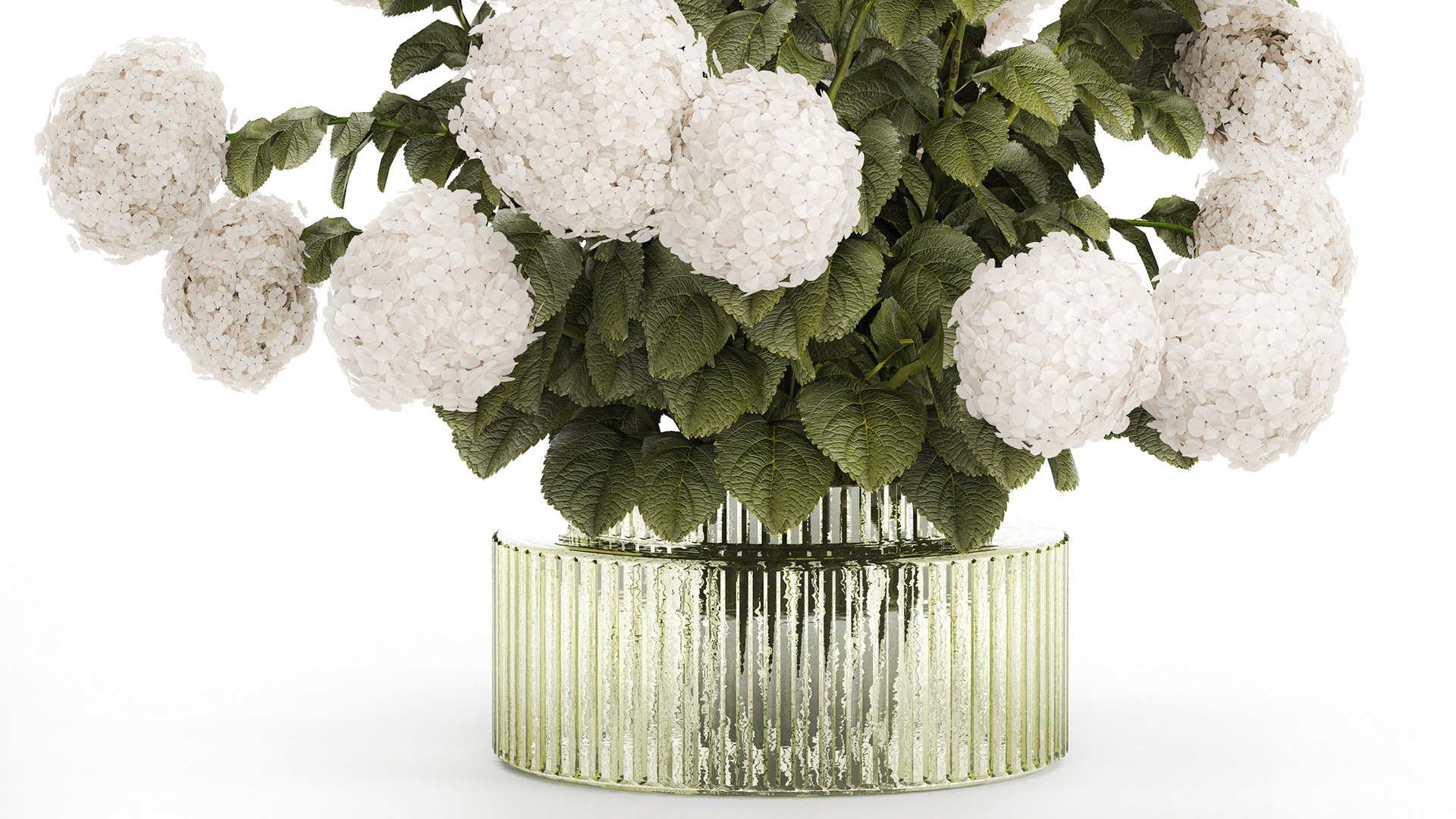 3D model Festive Bouquet Glass Green Vase White Hydrangea 582 https://p.turbosquid.com/ts-thumb/Bq/Qe4d7I/PN/1bouquethydrangea010603/jpg/1749117476/1920x1080/fit_q87/08e82ae468d7e7b923e2c4283303be2904c5e7ff/1bouquethydrangea010603.jpg