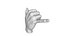 Realistic Hand model pose gesture 6