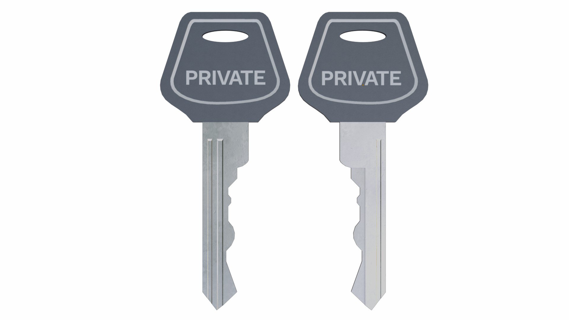 3D Collection of 20 flat keys https://p.turbosquid.com/ts-thumb/Bq/SQwFpc/Pa/16/jpg/1648719982/1920x1080/fit_q87/5ca6fbbd52171c1e208c853933080869a655d5a2/16.jpg