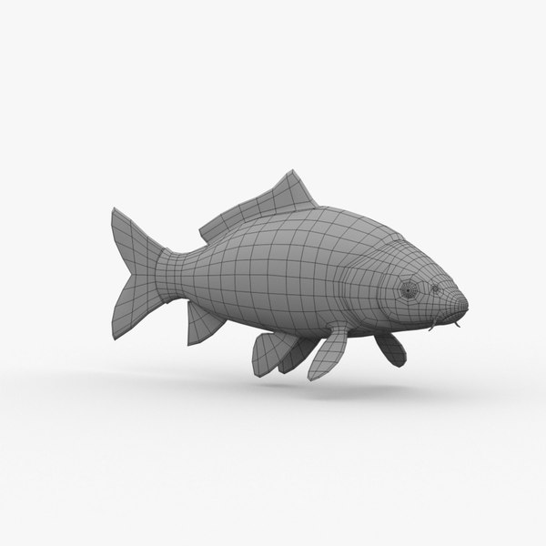 modelo 3d carp fish basemesh - TurboSquid 2006879