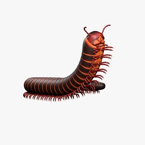 giant millipede 3D model
