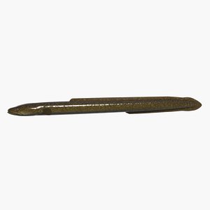 Giant mottled eel