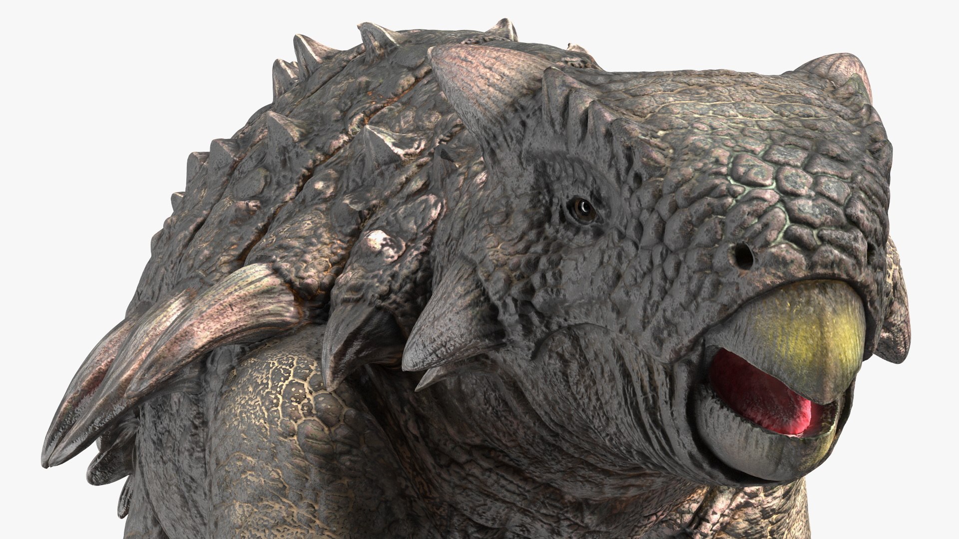 3D Ankylosaurus Tropical in Walking Pose https://p.turbosquid.com/ts-thumb/Bq/cUTsIl/8T/ankylosaurustropicalinwalkingpose3dsmodel015/jpg/1703807422/1920x1080/fit_q87/d0c81b11610283433a35a1a7d0295bc6c99d4e62/ankylosaurustropicalinwalkingpose3dsmodel015.jpg