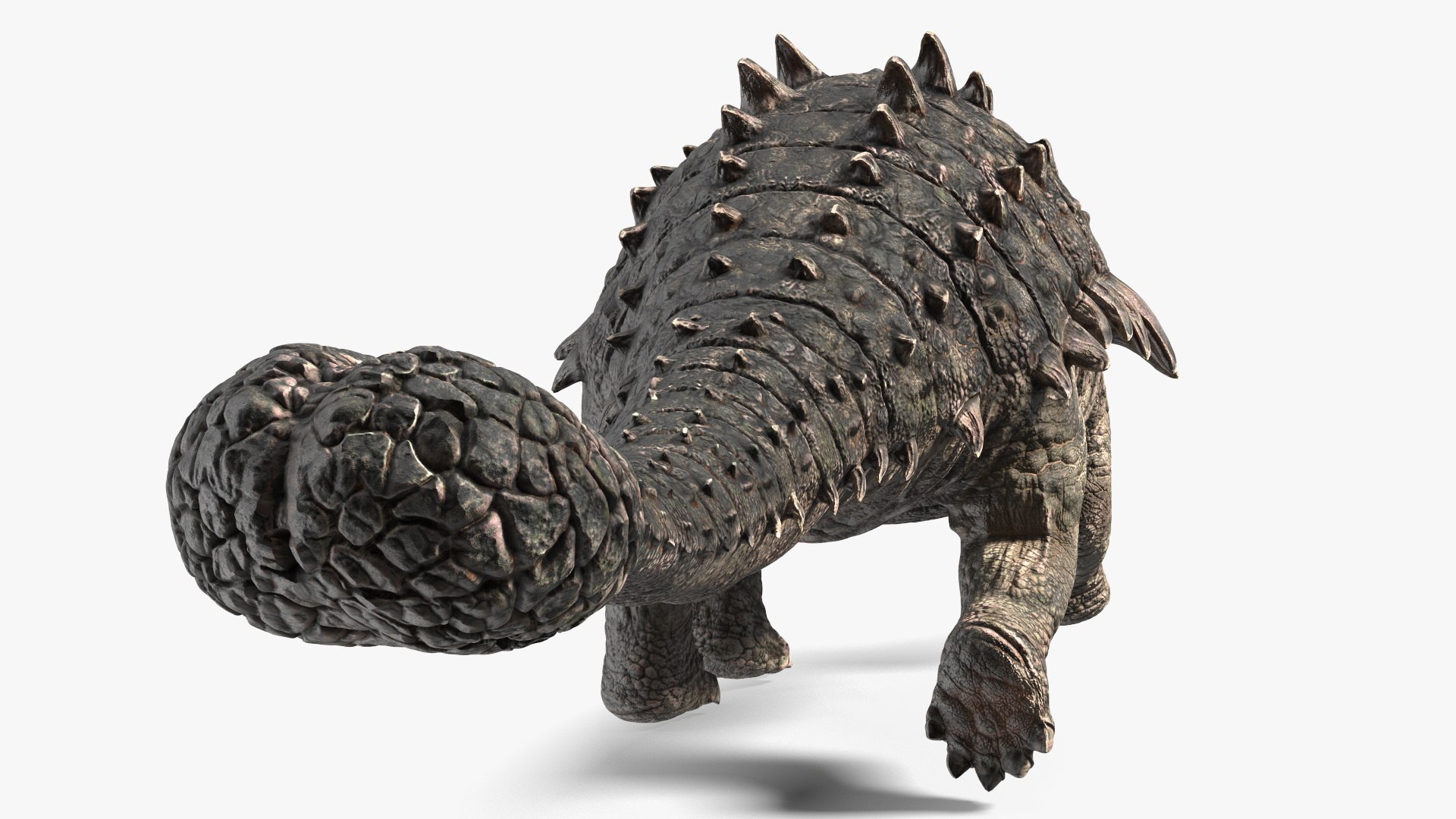 3D Ankylosaurus Tropical in Walking Pose https://p.turbosquid.com/ts-thumb/Bq/cUTsIl/WM/ankylosaurustropicalinwalkingpose3dsmodel012/jpg/1703807409/1920x1080/fit_q87/797215cf70d77a881dbcf94275e19b29244f6405/ankylosaurustropicalinwalkingpose3dsmodel012.jpg