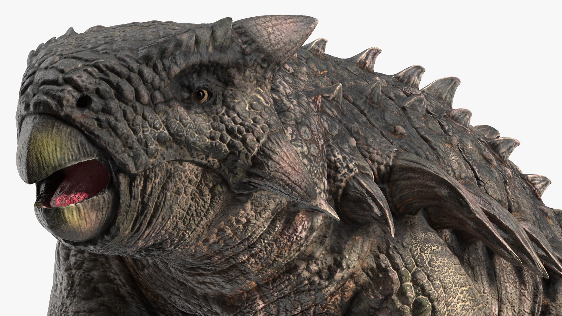3D Ankylosaurus Tropical in Walking Pose https://p.turbosquid.com/ts-thumb/Bq/cUTsIl/WO/ankylosaurustropicalinwalkingpose3dsmodel016/jpg/1703807426/1920x1080/fit_q87/45093664443e39bfaae212e690e182836d538a70/ankylosaurustropicalinwalkingpose3dsmodel016.jpg