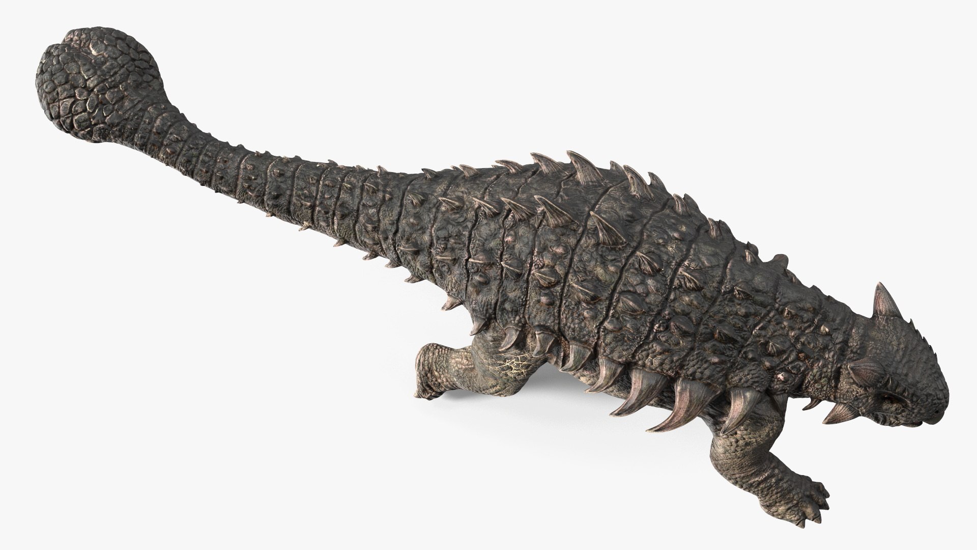 3D Ankylosaurus Tropical in Walking Pose https://p.turbosquid.com/ts-thumb/Bq/cUTsIl/iQ/ankylosaurustropicalinwalkingpose3dsmodel013/jpg/1703807414/1920x1080/fit_q87/721cec4d32136720d44db240adf4d097a5be6675/ankylosaurustropicalinwalkingpose3dsmodel013.jpg