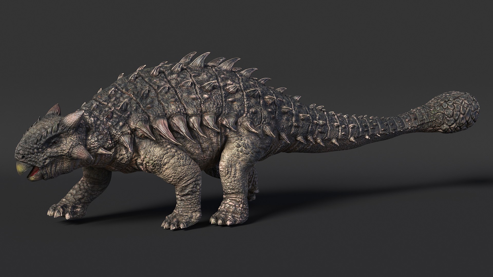 3D Ankylosaurus Tropical in Walking Pose https://p.turbosquid.com/ts-thumb/Bq/cUTsIl/js/ankylosaurustropicalinwalkingpose3dsmodel007/jpg/1703807388/1920x1080/fit_q87/4c34f464fa68afd2f398ba1fc3eb301f0c8f4e1d/ankylosaurustropicalinwalkingpose3dsmodel007.jpg