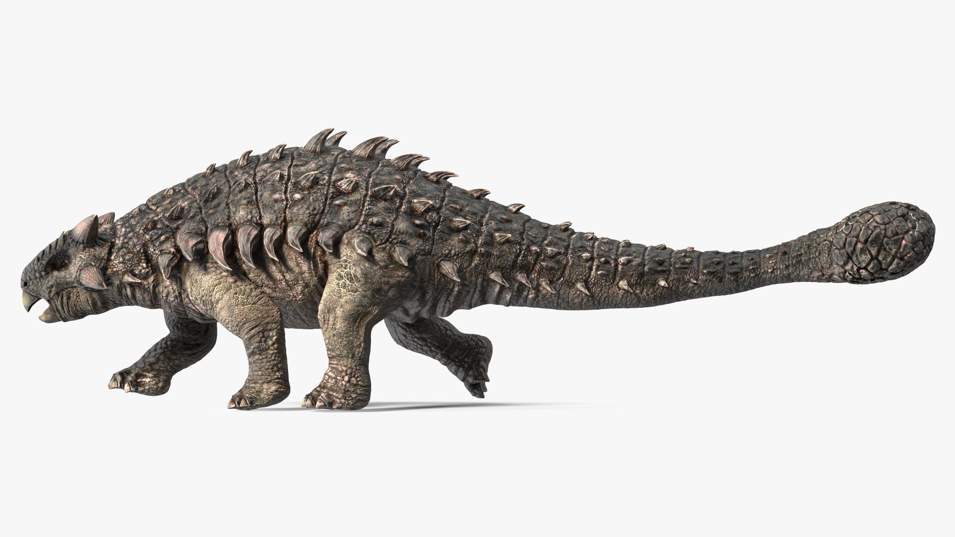3D Ankylosaurus Tropical in Walking Pose https://p.turbosquid.com/ts-thumb/Bq/cUTsIl/ry/ankylosaurustropicalinwalkingpose3dsmodel011/jpg/1703807405/1920x1080/fit_q87/4dca6a897460a9d1b64a323aaba2b0077be66508/ankylosaurustropicalinwalkingpose3dsmodel011.jpg