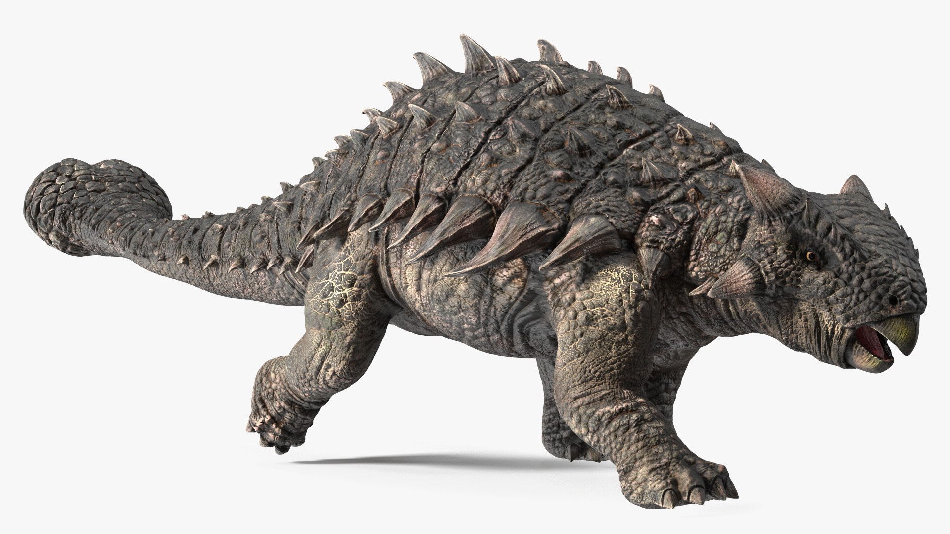 3D Ankylosaurus Tropical in Walking Pose https://p.turbosquid.com/ts-thumb/Bq/cUTsIl/tD/ankylosaurustropicalinwalkingpose3dsmodel009/jpg/1703807396/1920x1080/fit_q87/40fef475256201d7ce9ffaee0db63bbb218bc52d/ankylosaurustropicalinwalkingpose3dsmodel009.jpg