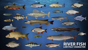 river fish animation 3D