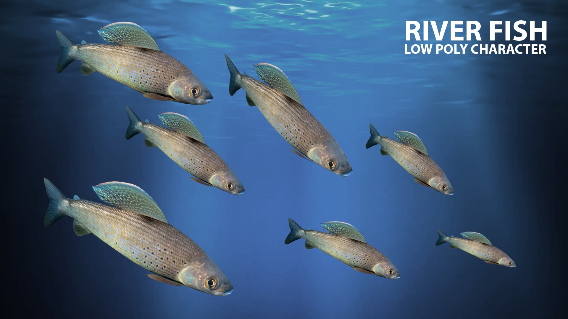 river fish animation 3D https://p.turbosquid.com/ts-thumb/Bq/fHA8Xc/DMnyLvZ0/12/png/1559471767/1920x1080/fit_q87/997412b6f9e2f23bde81dead9b3a615acb2d7f65/12.jpg