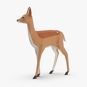 Fawn Standing