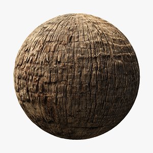 Washingtonia Robusta Palm PBR tiled texture 8K