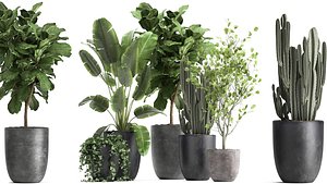 Houseplants in a flowerpot for the interior 961 3D