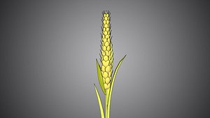 3D wheat rice paddy plant cereal crop farm paddy grain cropper cartoon
