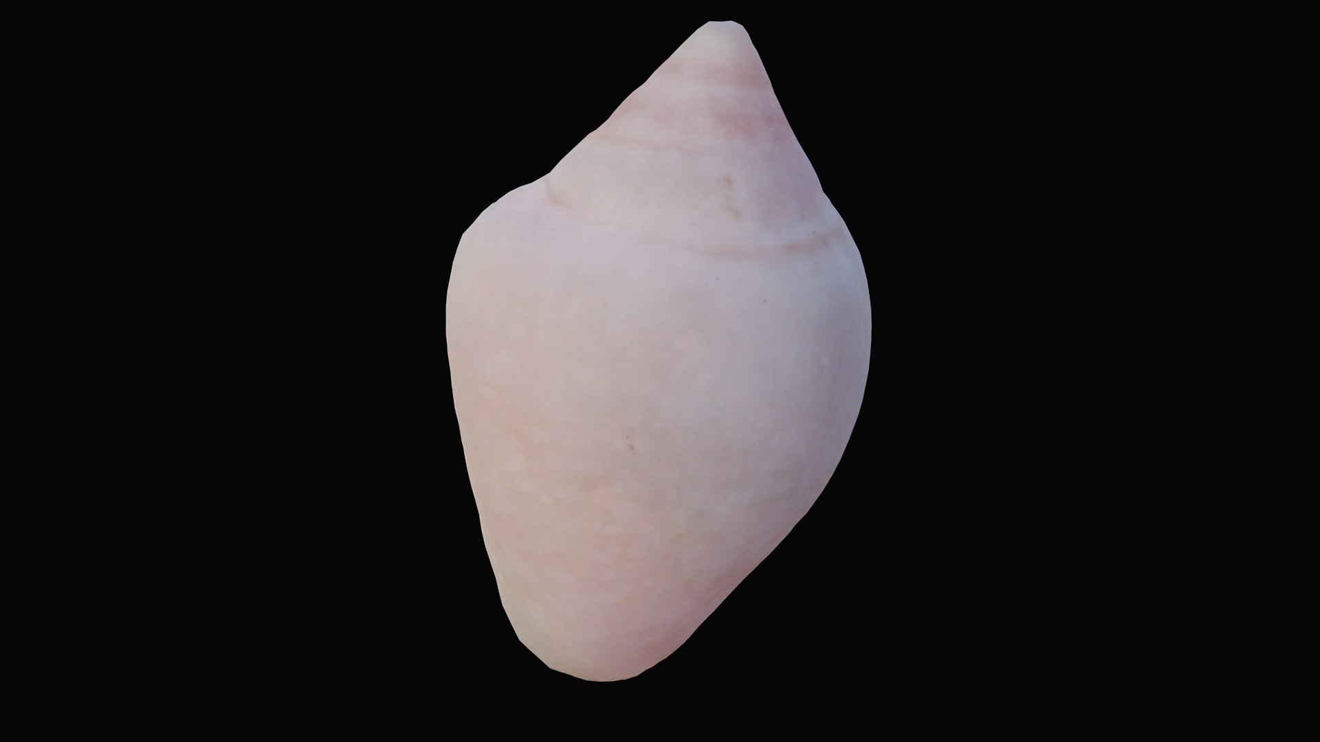 shell tiny sea 3D model https://p.turbosquid.com/ts-thumb/Br/16ETYD/3tWf3hUT/1601204717149_turntable_4_blackbg/png/1601322335/1920x1080/fit_q87/dd0e2a2b069552b21a2aaef9991382d42698404c/1601204717149_turntable_4_blackbg.jpg