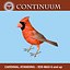 Cardinal - Mâle - Debout Ailes Debout