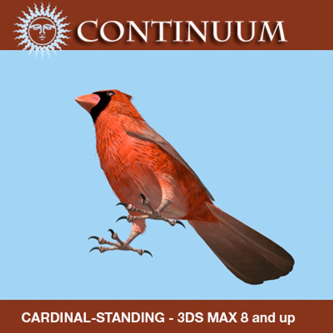3d model bird cardinal standing wings https://p.turbosquid.com/ts-thumb/Br/47Yl8y/P9EmrKKL/cardinalstand044x/jpg/1262061685/1920x1080/fit_q87/0d05de140033e392010e848ae5e14b61aa930731/cardinalstand044x.jpg