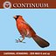 Cardinal - Mâle - Debout Ailes Debout