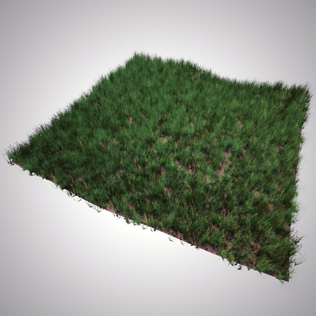 grass wild 3D https://p.turbosquid.com/ts-thumb/Br/9rUrJT/QzYwIEqD/15/jpg/1602967850/1920x1080/fit_q87/e364a62771562581a201eaa273f21a818ec94d66/15.jpg