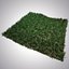Wild grass