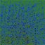 Wild grass