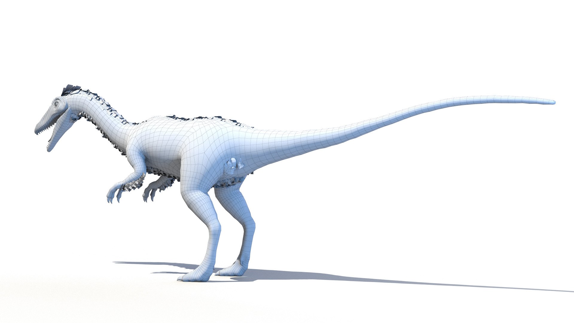 coelophysis model https://p.turbosquid.com/ts-thumb/Br/MMPE9H/Y6J8skg3/coelophysis_wire0002/jpg/1603277782/1920x1080/fit_q87/ea7ddba8d40ffbc296a36f10d1f4e93553175c07/coelophysis_wire0002.jpg
