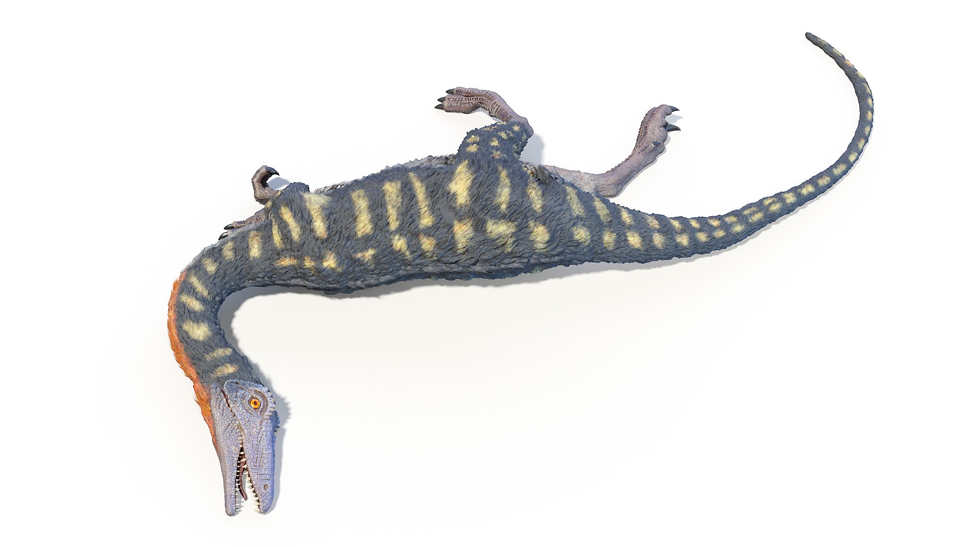 coelophysis model https://p.turbosquid.com/ts-thumb/Br/MMPE9H/o7SyrmNs/coelophysis_poses0056/jpg/1603277668/1920x1080/fit_q87/df0902e6ddfdaf70fc91f42d1fe1258094f00eb5/coelophysis_poses0056.jpg