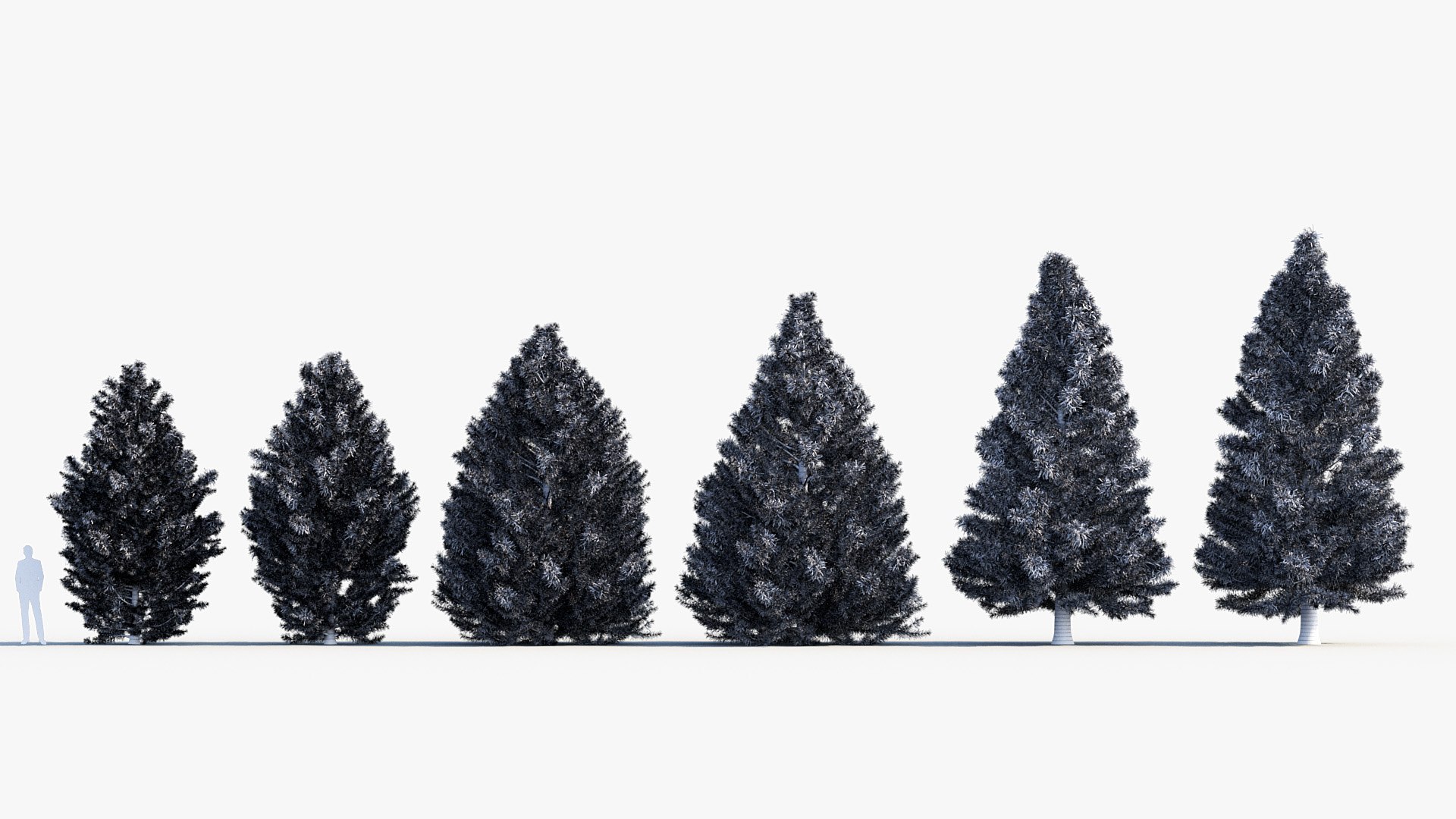 Sciadopitys verticillata Japanese Umbrella Pine 3D model https://p.turbosquid.com/ts-thumb/Br/NI3z6M/zG/bc_pm_p03_sciadopitys_verticillata_06/jpg/1680365054/1920x1080/fit_q87/699d5714c19770a5c423641d9534a4c85d7c6bb0/bc_pm_p03_sciadopitys_verticillata_06.jpg