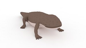 Giant Salamander