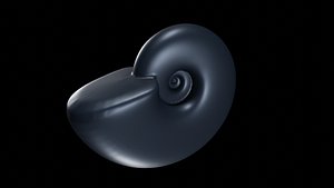 Discocone wide ornamented 3D model
