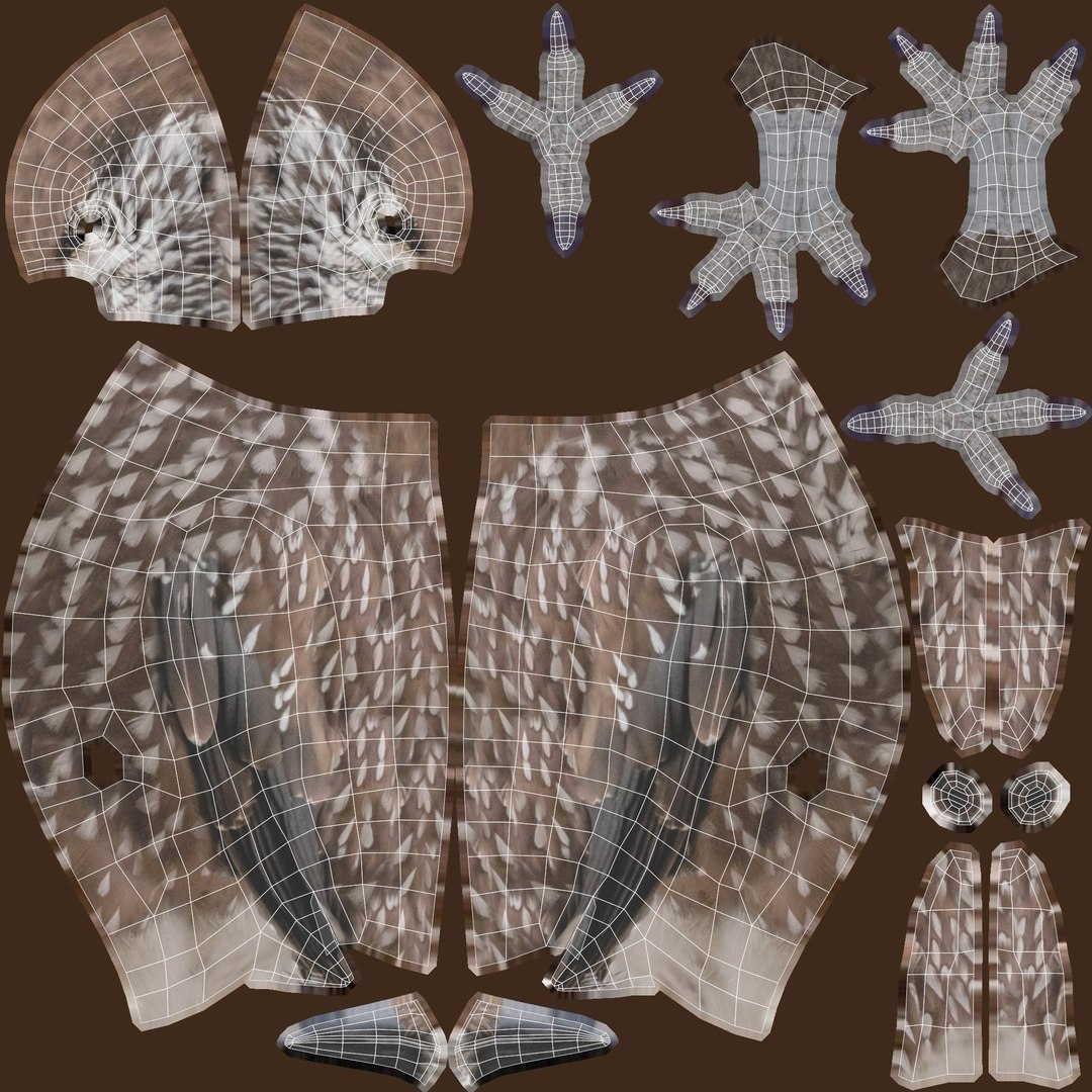 3D Birds collection https://p.turbosquid.com/ts-thumb/Br/Vid08l/08/nutcrackeruvs/jpg/1649700662/1920x1080/fit_q87/2b49c083cc1df270946608f8a294829315ce657e/nutcrackeruvs.jpg