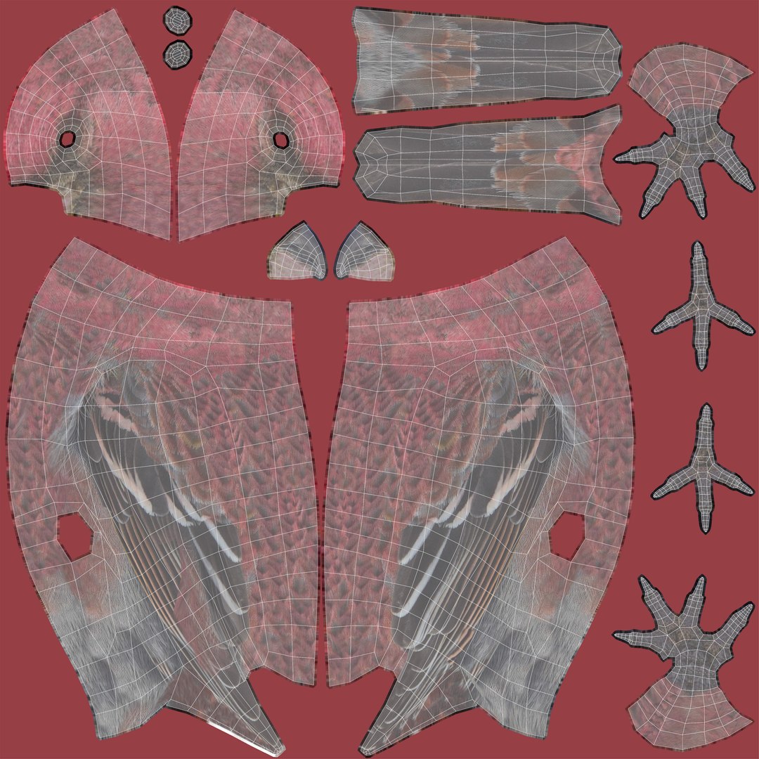 3D Birds collection https://p.turbosquid.com/ts-thumb/Br/Vid08l/0i/pinegrosbeakuvs/jpg/1650570455/1920x1080/fit_q87/6ccb86fc8e454ab3049f9dfb0668ebe48087f23a/pinegrosbeakuvs.jpg
