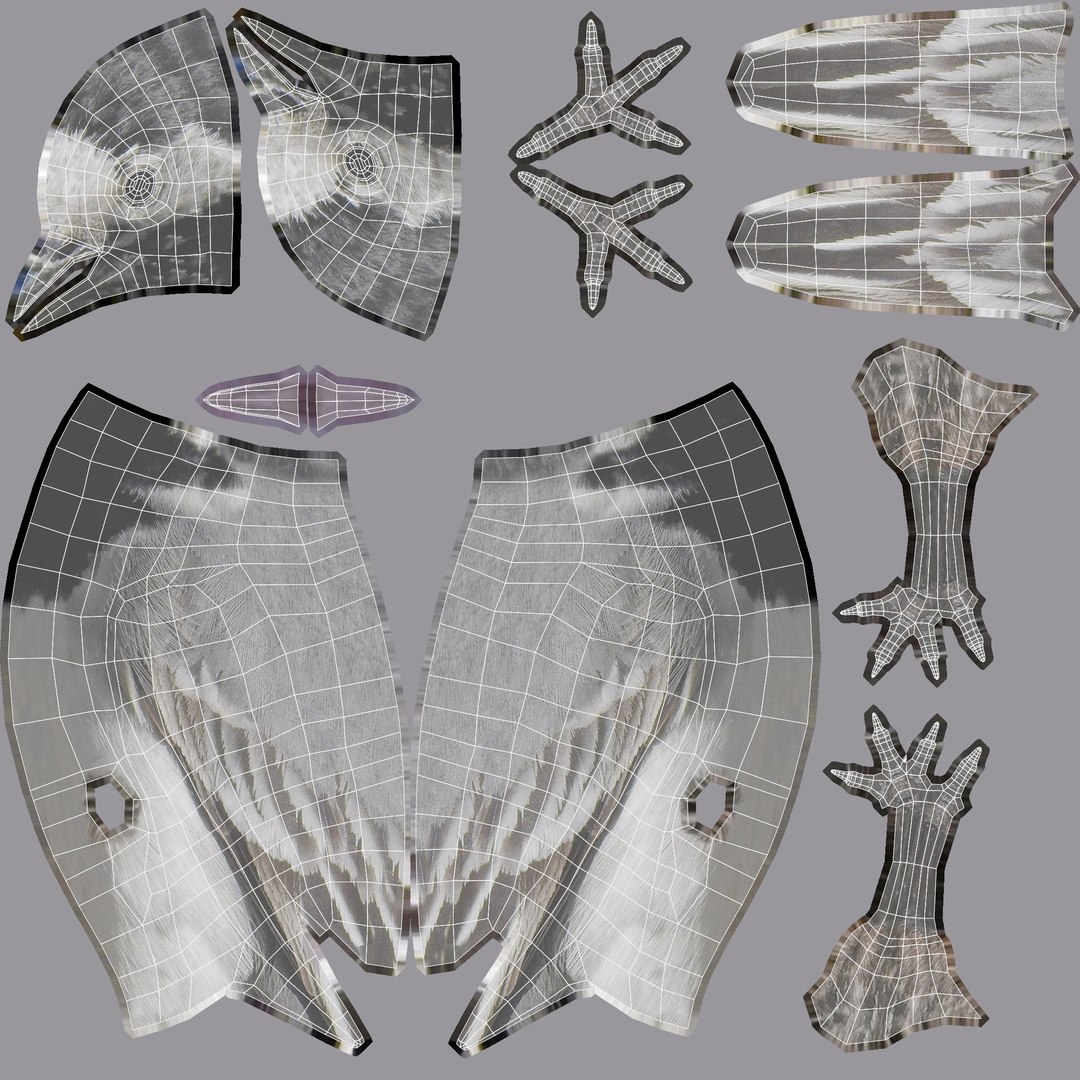 3D Birds collection https://p.turbosquid.com/ts-thumb/Br/Vid08l/dL/wagtail_uvs/jpg/1649356289/1920x1080/fit_q87/398a59f7f0b05365a744fb8085a9d0f89cae2467/wagtail_uvs.jpg
