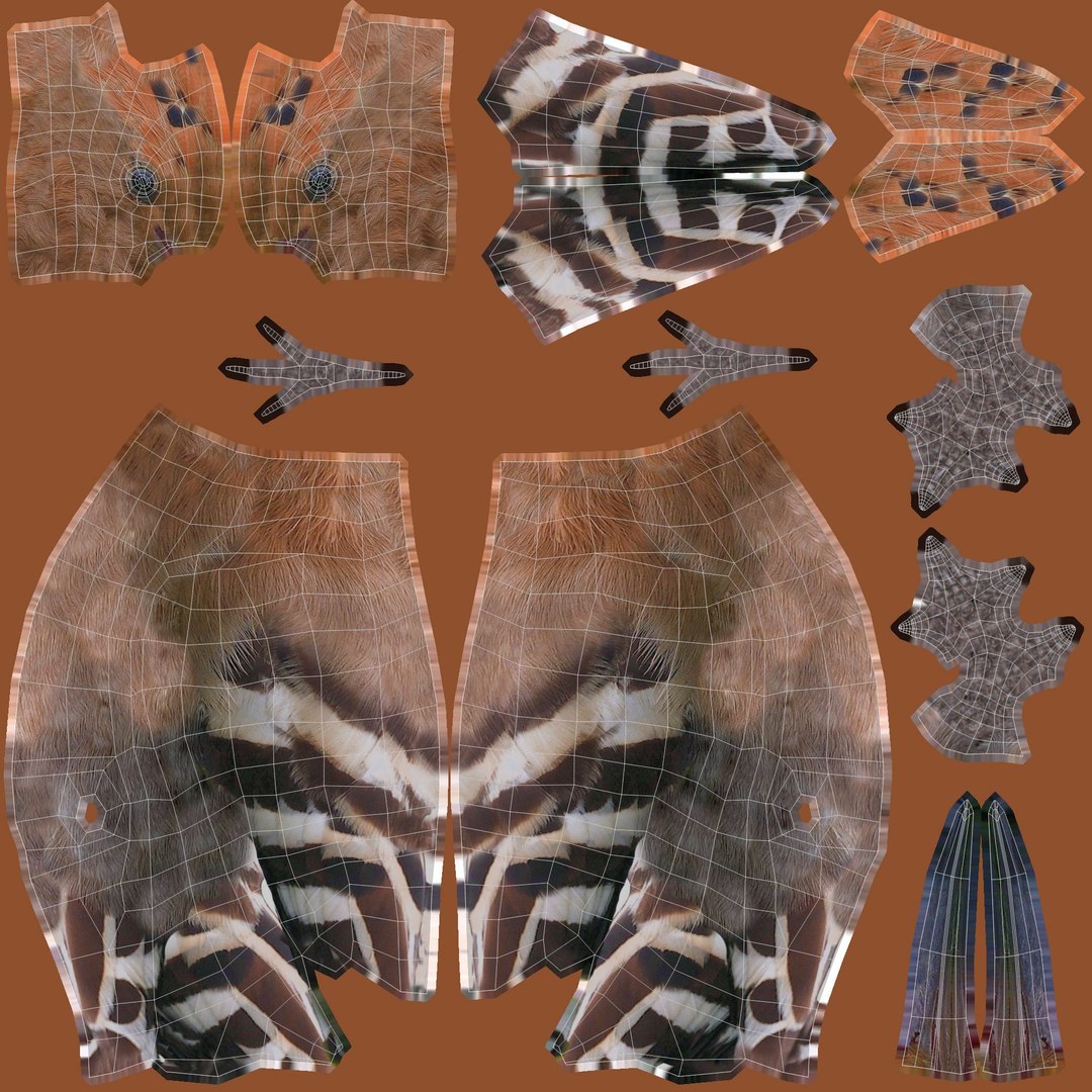 3D Birds collection https://p.turbosquid.com/ts-thumb/Br/Vid08l/gN/eurasianhoopoeuvws/jpg/1648927769/1920x1080/fit_q87/76927873f8f7877c8ab8408f8a8b3ddbe8e774e5/eurasianhoopoeuvws.jpg