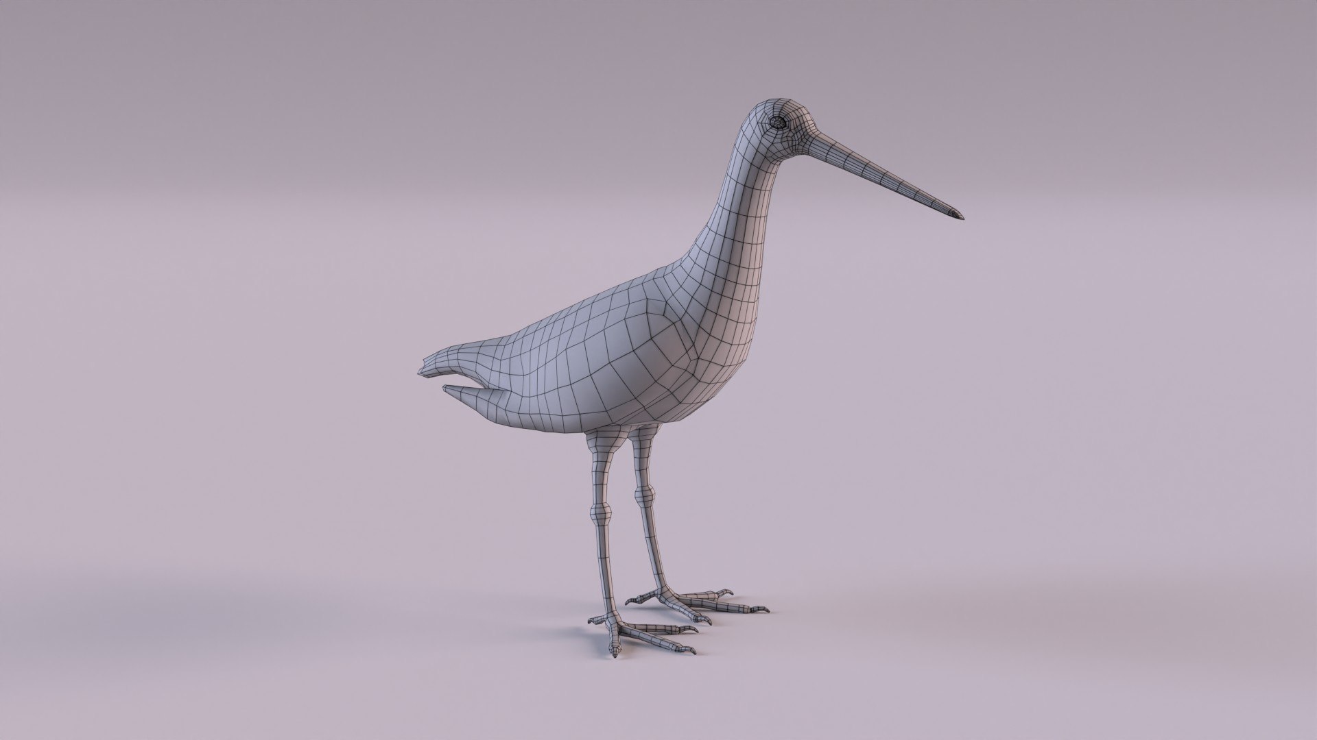 3D Birds collection https://p.turbosquid.com/ts-thumb/Br/Vid08l/zH/blacktailedgodwitw_0001/jpg/1649088346/1920x1080/fit_q87/b5dc7b5c9e5dbb8211ead3ac7a2c500de8b4cac1/blacktailedgodwitw_0001.jpg