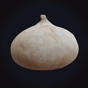 onion realistic pbr 3D