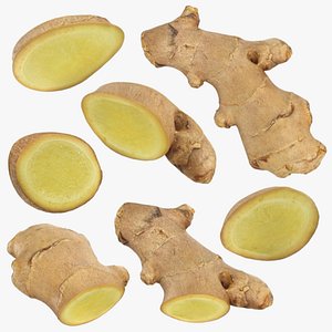 Ginger Slices Collection 2