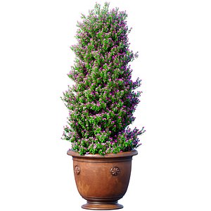 Decorative tree classic garden pot Indoor plant balcony