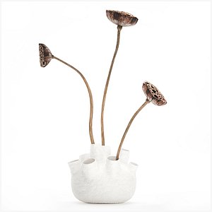 3D A Small Bouquet Dried Flowers With Lotus Branches vase model
