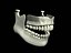 TEETH&JAWS.max