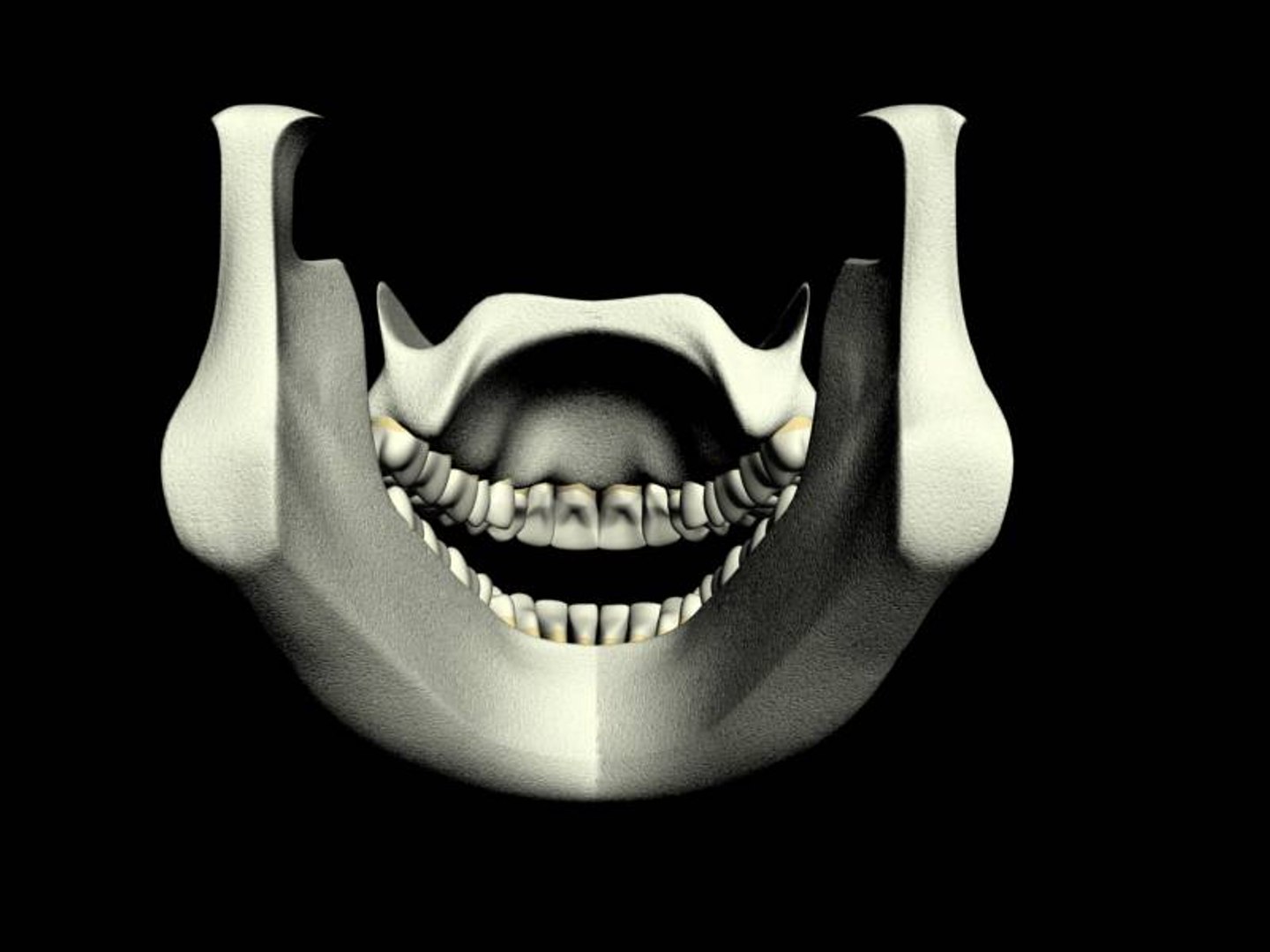 teeth jaws 3d model https://p.turbosquid.com/ts-thumb/Bs/A4AV1f/njThJMVP/postopen/jpg/1182148105/1920x1080/fit_q87/39d26b151c340004706351a7a1825911b865345c/postopen.jpg