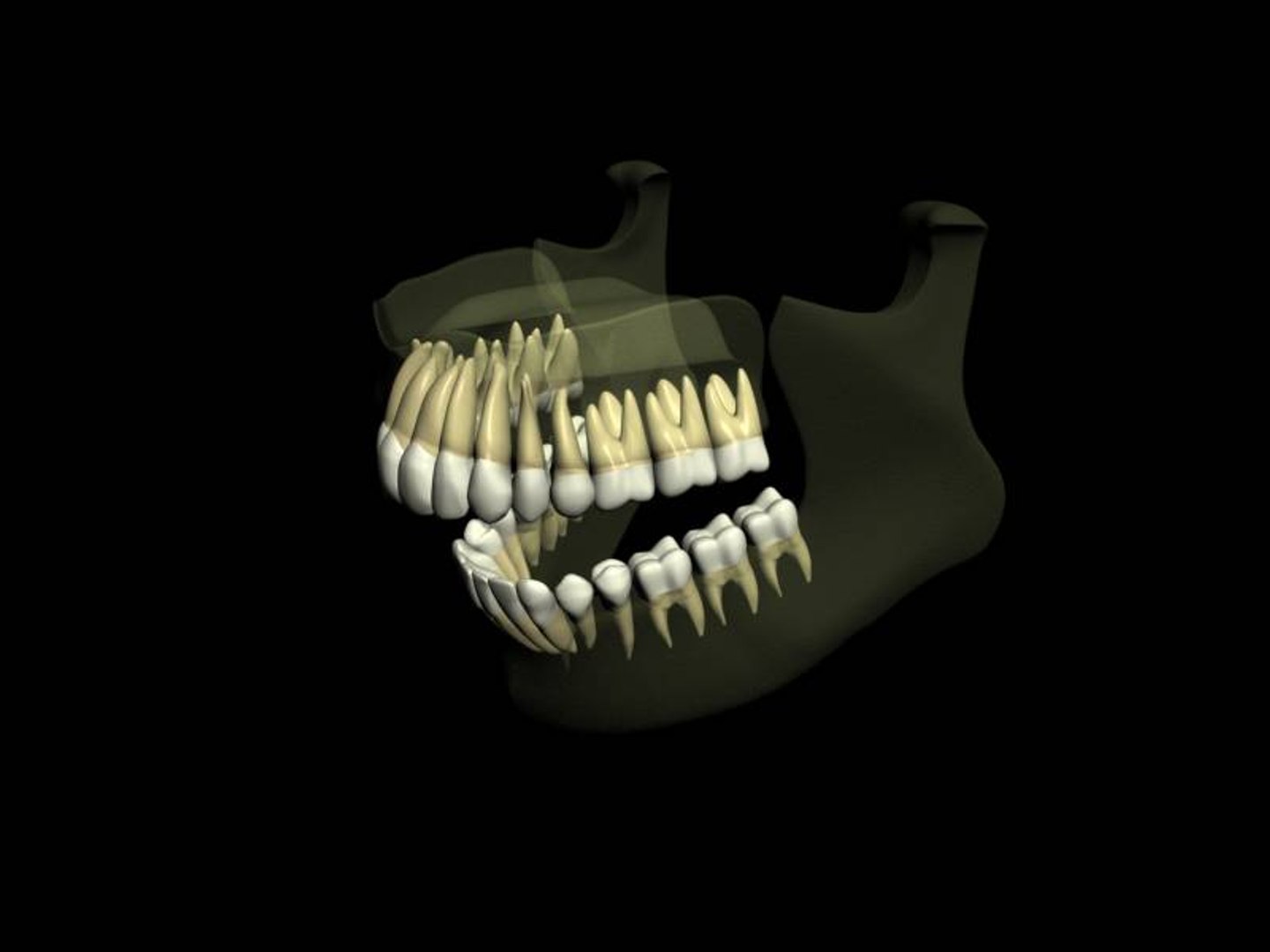 teeth jaws 3d model https://p.turbosquid.com/ts-thumb/Bs/A4AV1f/r5rXG3yc/trans3/jpg/1182148127/1920x1080/fit_q87/08263e8437ddc2ff73b0909bdd65dfe55a95d9dd/trans3.jpg