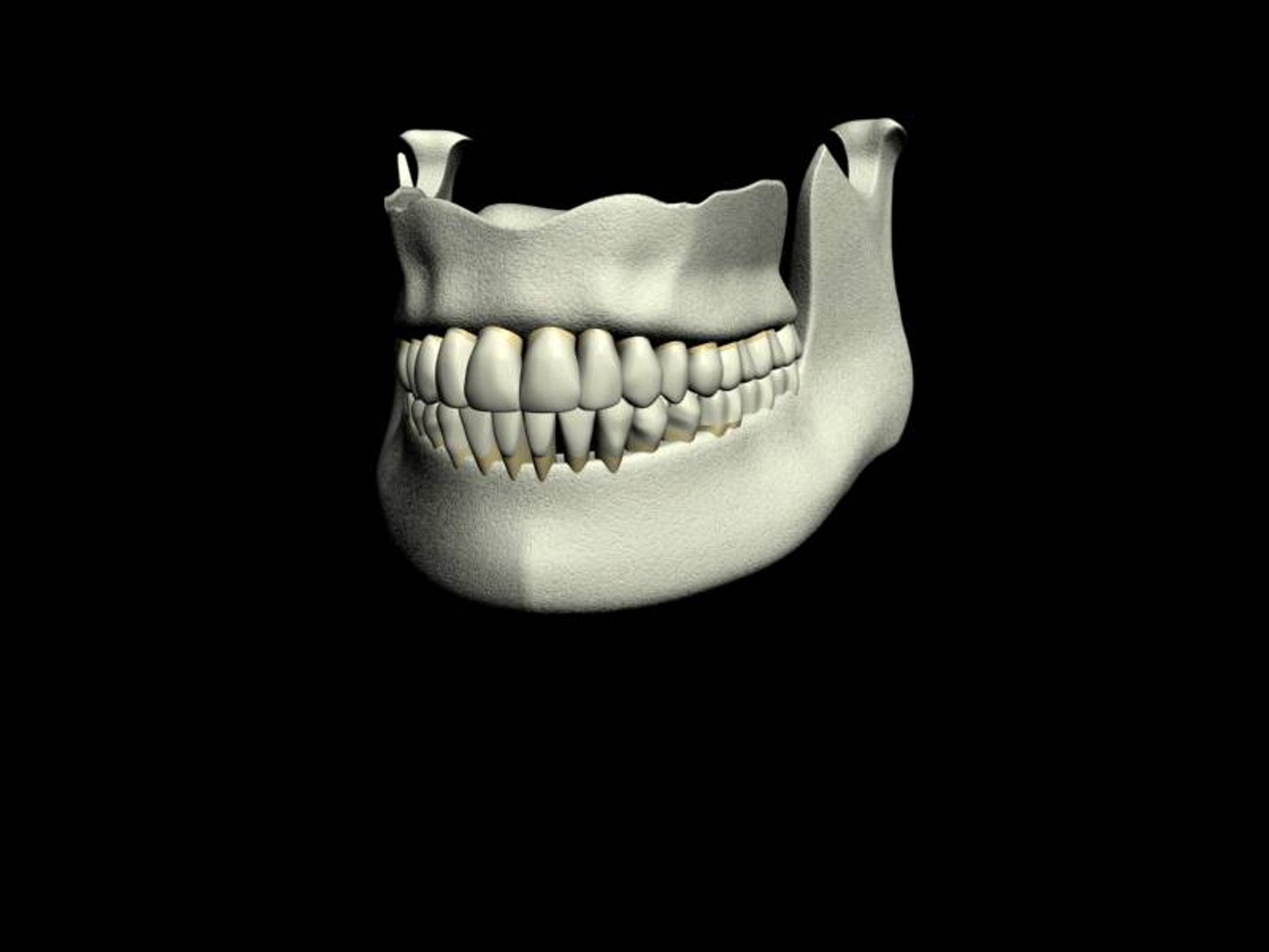 teeth jaws 3d model https://p.turbosquid.com/ts-thumb/Bs/A4AV1f/tHhQRCNE/close2/jpg/1182148059/1920x1080/fit_q87/fb4c03b2fd551172d4301952f5020860351a3317/close2.jpg