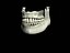 TEETH&JAWS.max